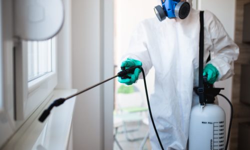 Exterminator,In,Work,Wear,Spraying,Pesticide,With,Sprayer